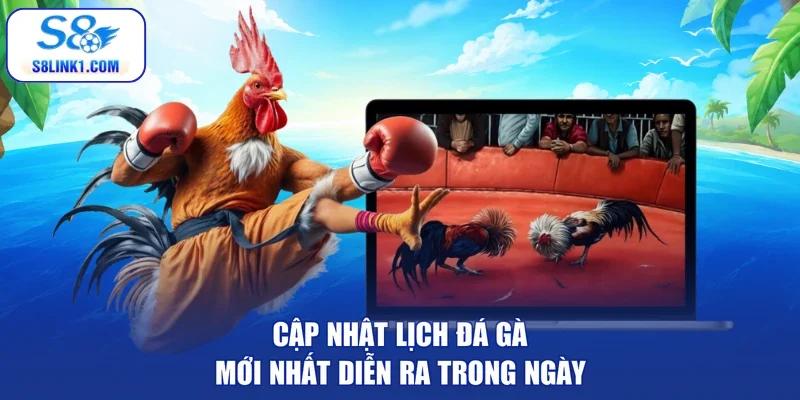 Cập nhật lịch đá gà mới nhất diễn ra trong ngày