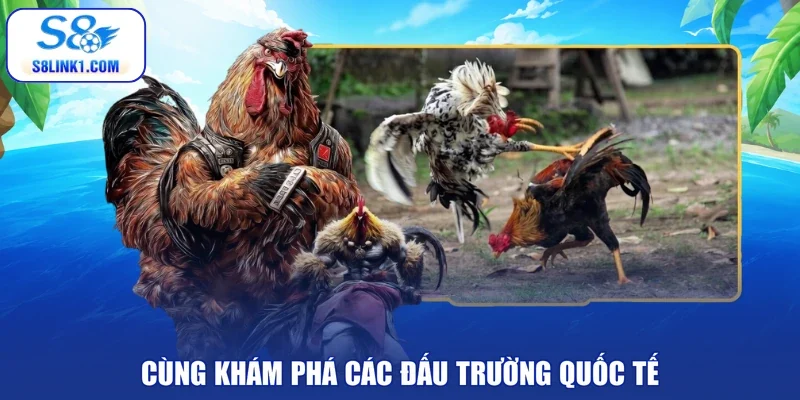 Cùng khám phá các đấu trường quốc tế